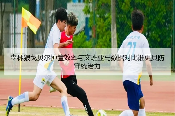 森林狼戈贝尔护筐效率与文班亚马数据对比谁更具防守统治力